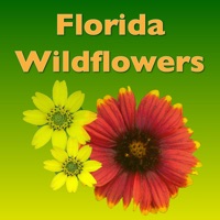 Southern Florida Wildflowers pour PC