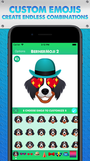 BernerMoji 2(圖2)-速報App