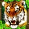 Enter the wild jungle and live life as a Tiger