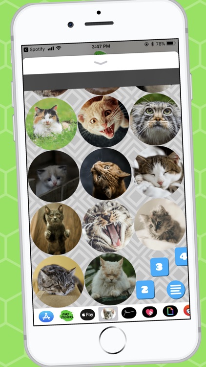 Lovable Cat Stickers