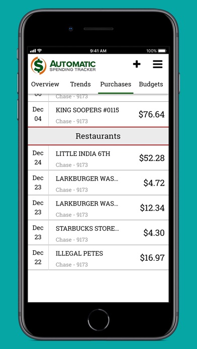 Automatic Spending Tracker screenshot 2