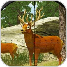 Activities of Challege Hunting Safari Deer 3