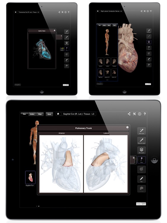 Heart Pro III screenshot-4