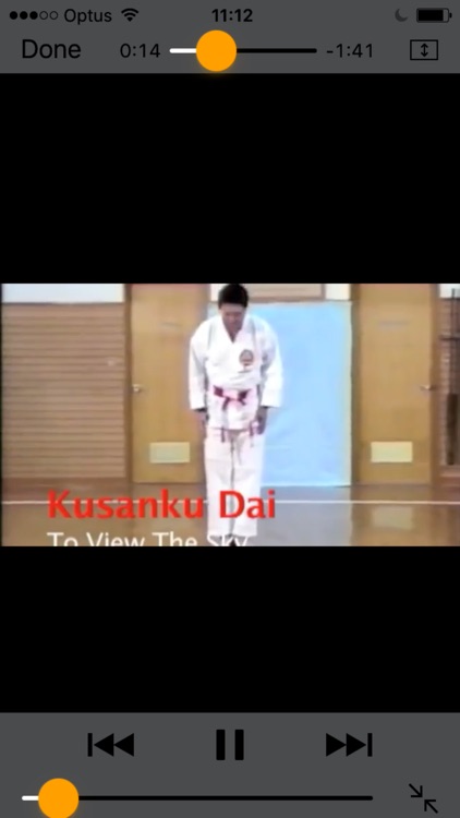 Shorin-Ryu Shorinkan Pro screenshot-3