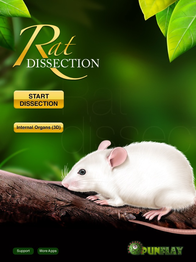 Rat Dissection