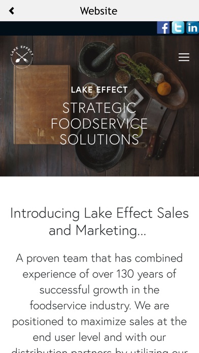Lake Effect FS screenshot 2