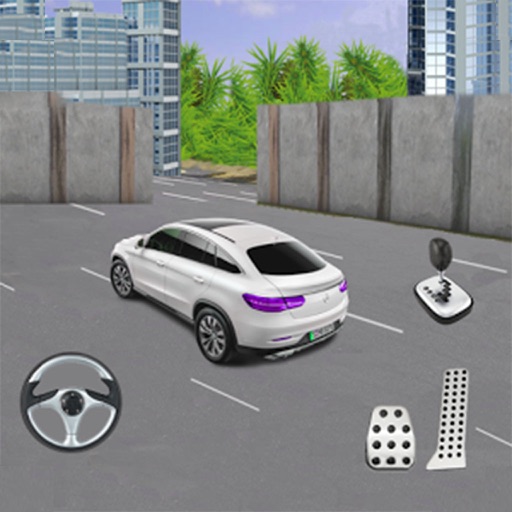 Real Cars Parking Simulator 3d Icon