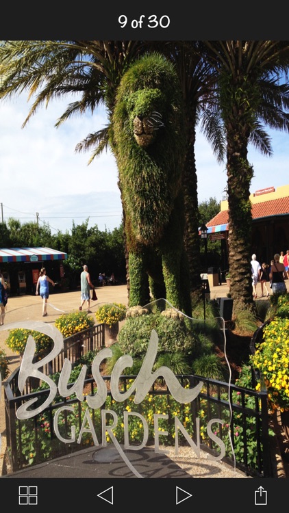 App to Busch Gardens Tampa Bay screenshot-3