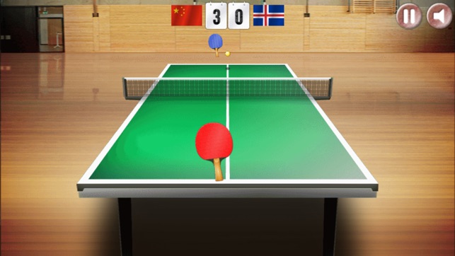 Table Tennis World 3D - Real Challenge Match(圖2)-速報App