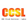 CCS Labor