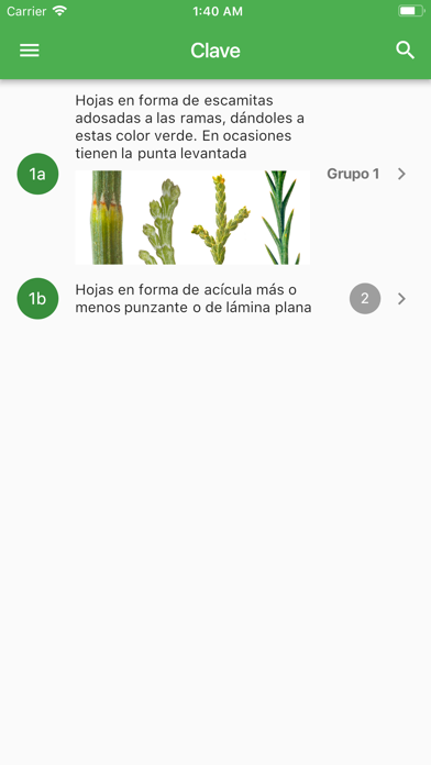 How to cancel & delete Arboles Ibericos from iphone & ipad 3