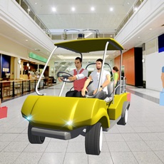 Activities of Shopping Taxi Simulator