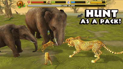 Cheetah Simulator Screenshot 2
