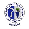 TG Laudenbach Handball
