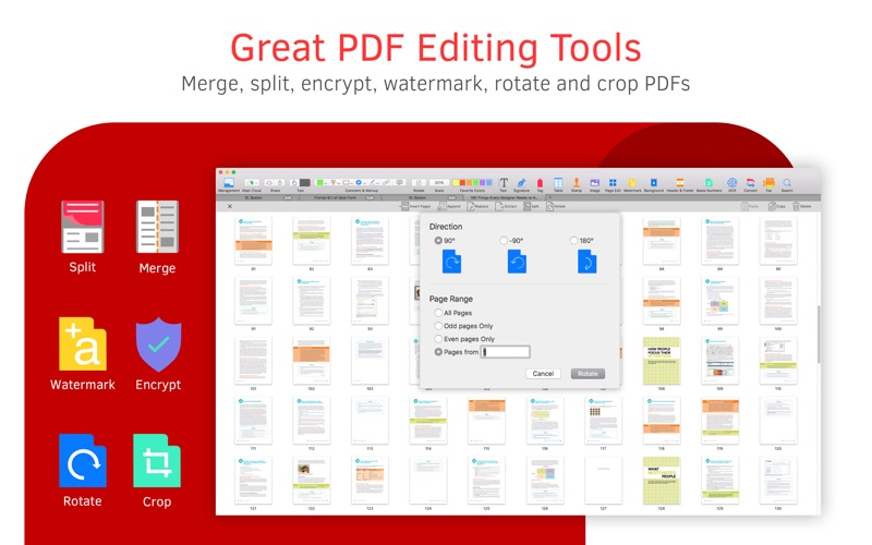 PDF Reader Screenshot