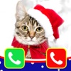 Cat Santa Claus Calling You