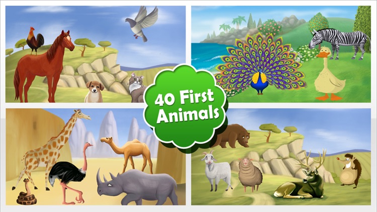 Animal Zoo Puzzles