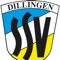 Der Fußballverein von der Donau: Die SSV Dillingen