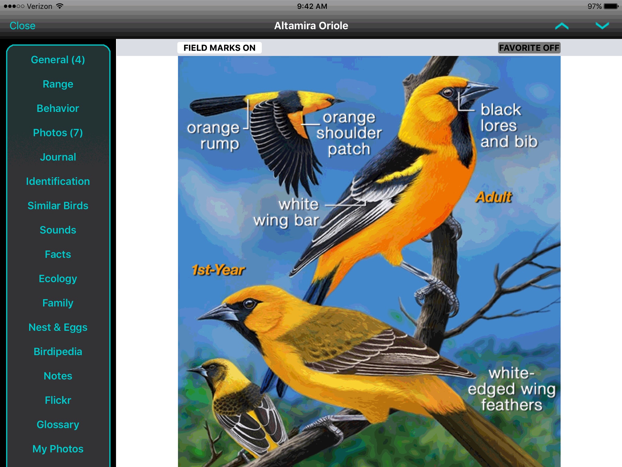 iBird Yard+ Guide to Birds screenshot 2