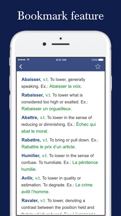 Mastering French Synonyms screenshot 4