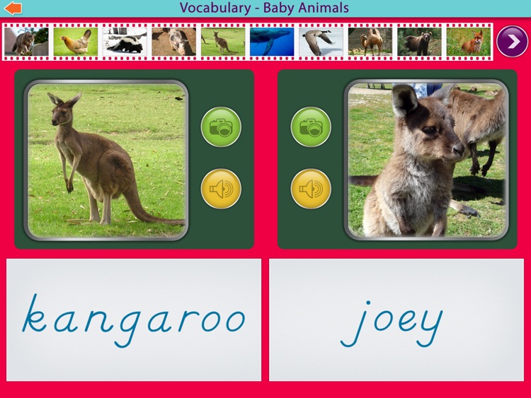 Baby Animals Montessori Vocab. screenshot-3