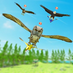Birds In Forest Game
