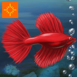 fish tycoon full version free download