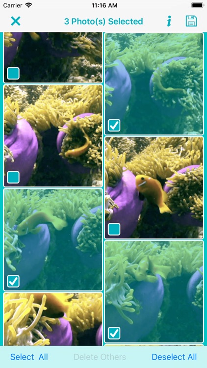 Video 2 Photo Extractor