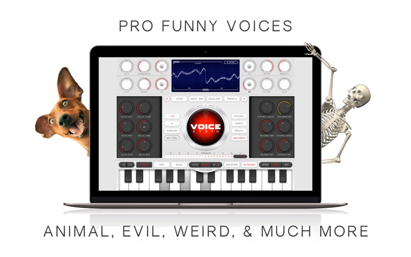 Voice Synth Screenshot