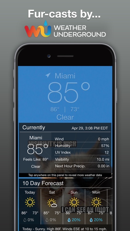 Grumpy Cat's Funny Weather screenshot-3