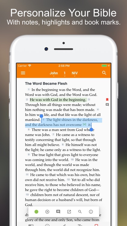 Holman Bible