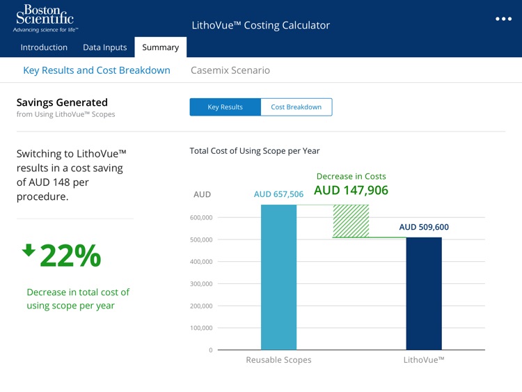 LithoVue™ Costing Calculator