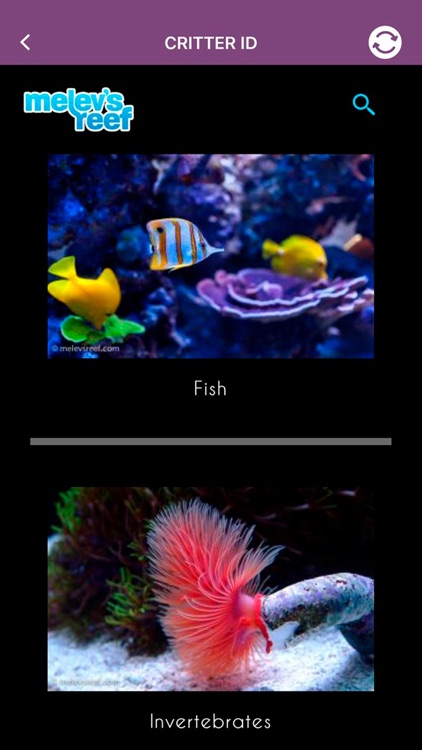 ReefTrace screenshot-4