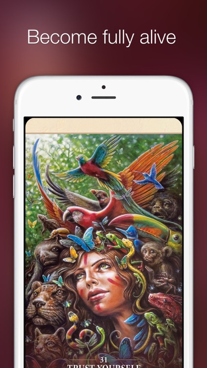 Sacred Rebels Oracle