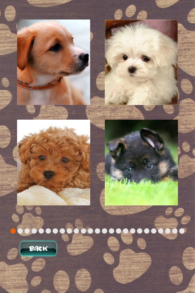 Cute Puppies Puzzle screenshot 2