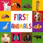 Top 50 Education Apps Like First Words for Baby: Animals - Premium - Best Alternatives
