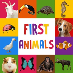 First Words for Baby: Animals - Premium