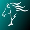 Video log book app to keep track of your runs at horse shows such as barrel races and rodeos