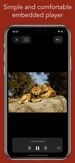 Game screenshot African TV: African television apk