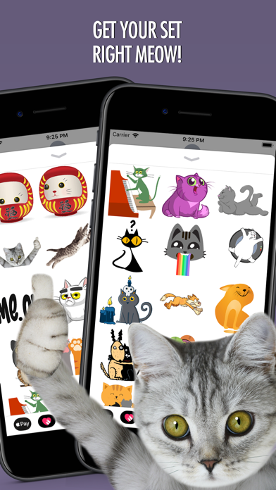 Cats Animated Text Stickers 2 screenshot 4
