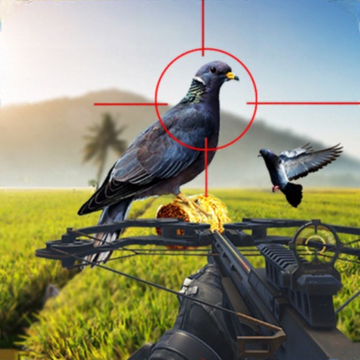 Spy Pigeon Bowhunting 3D Icon