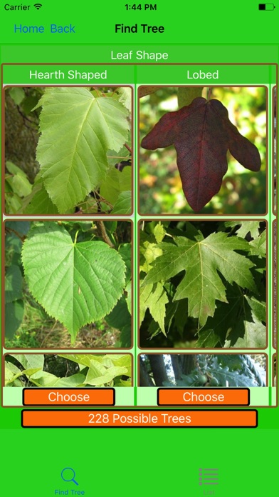 Forest Tree Identification screenshot 2