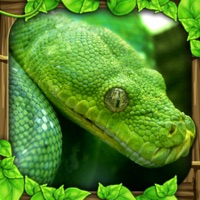 Snake Simulator pour PC