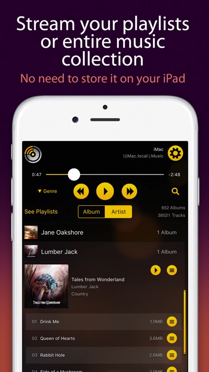 MusicStreamerLite