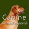 This app is a working tool and study guide for performing a KinesioResponse full body analysis on dogs