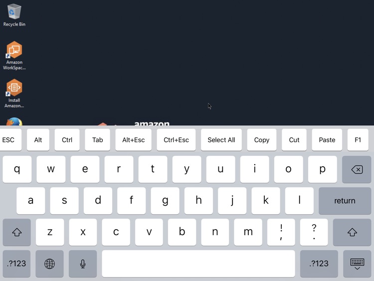 Amazon WorkSpaces screenshot-4