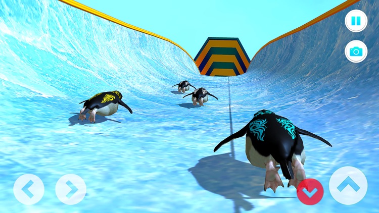 Super Penguin Run Adventure 3D