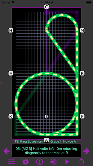 TestPro: FEI Para Dressage(圖6)-速報App