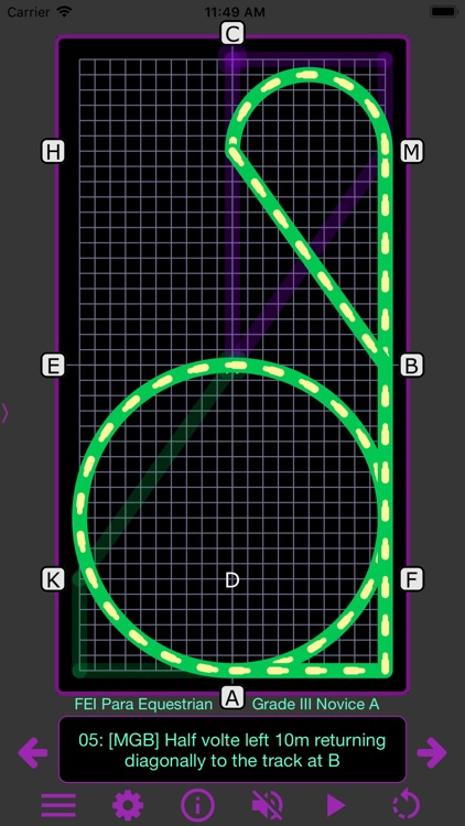 TestPro: FEI Para Dressage screenshot-5