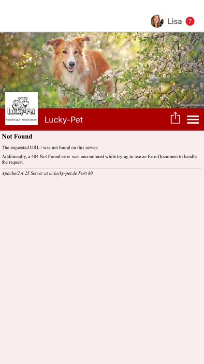 Lucky-Pet